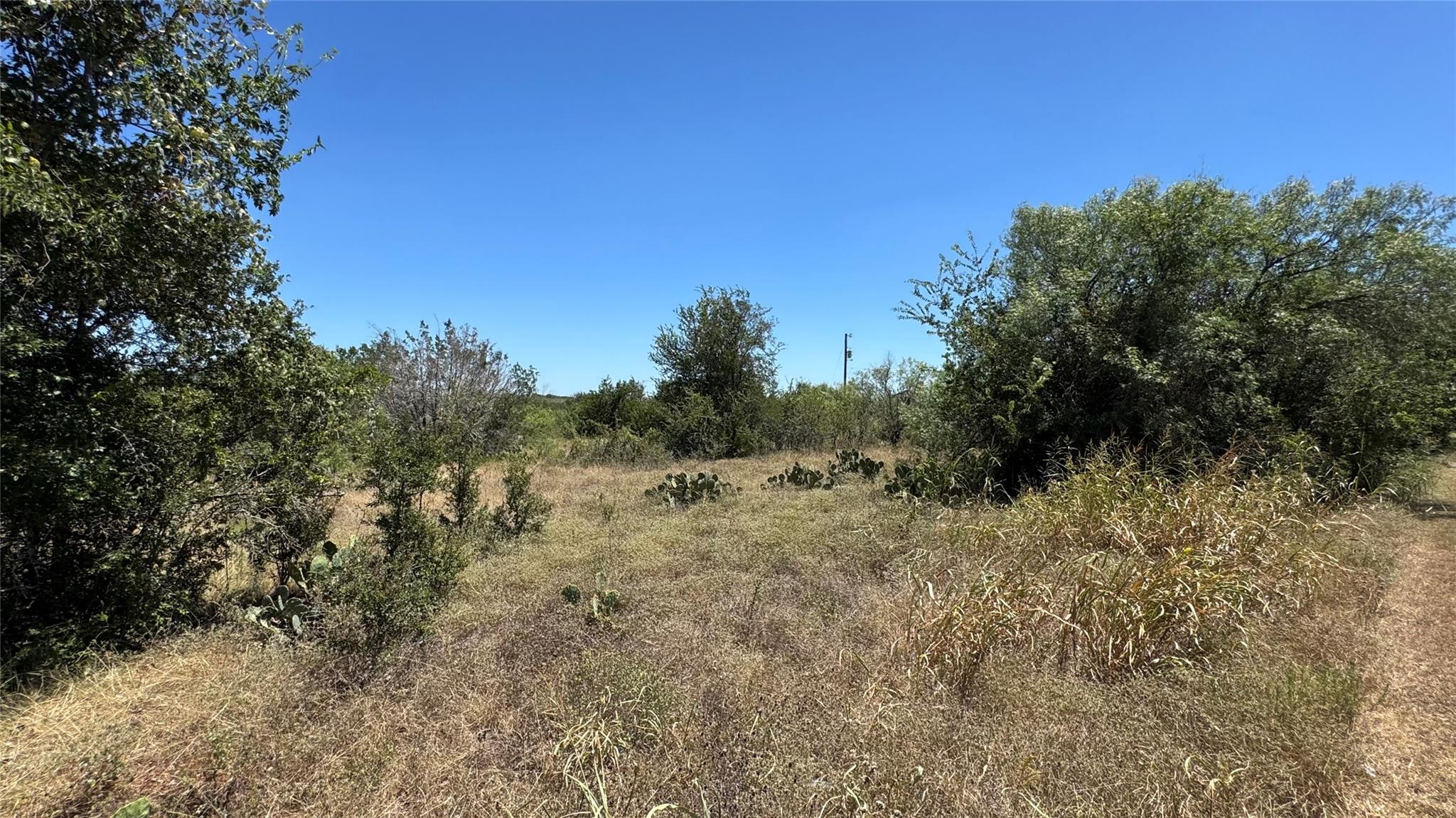 210 Oak Forest DR — photo 4