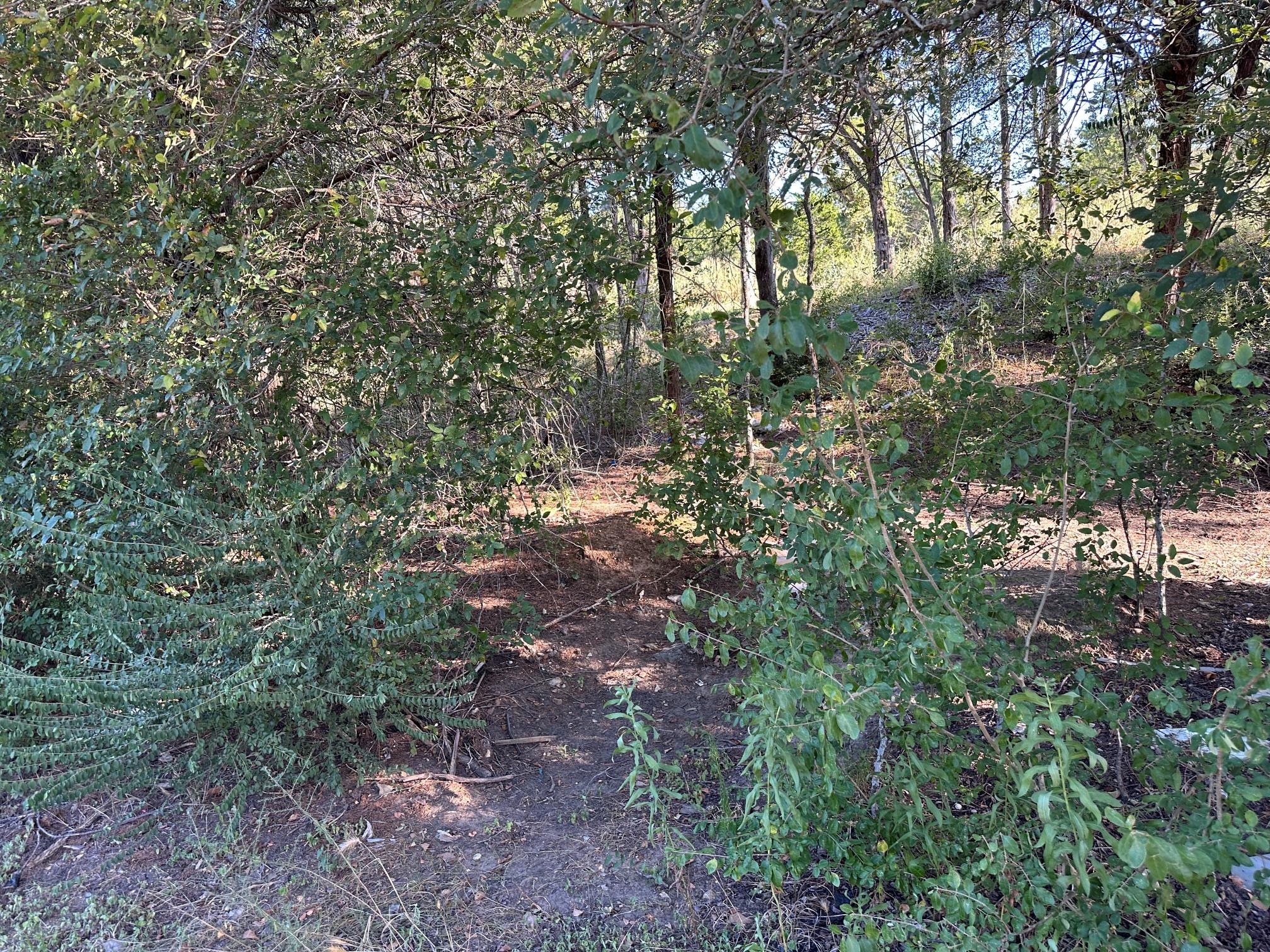 LOT 9 Robin RUN — photo 3