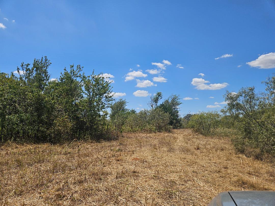358 Highway 95 — photo 3