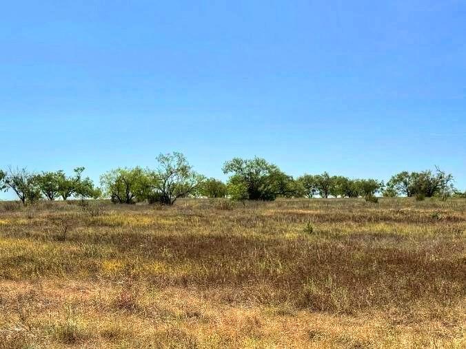 Lot 1 US Hwy 190 Highway — photo 3