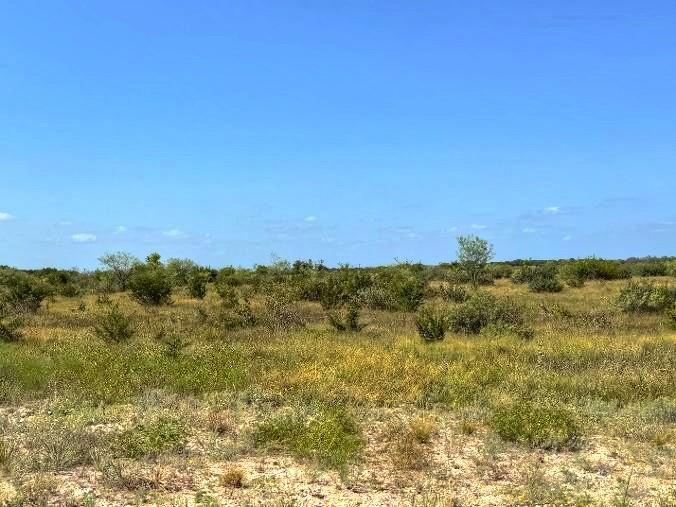 Lot 1 US Hwy 190 Highway — photo 4