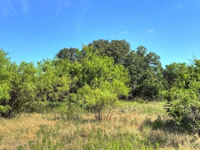 Lot 1 US Hwy 190 Highway — photo 5