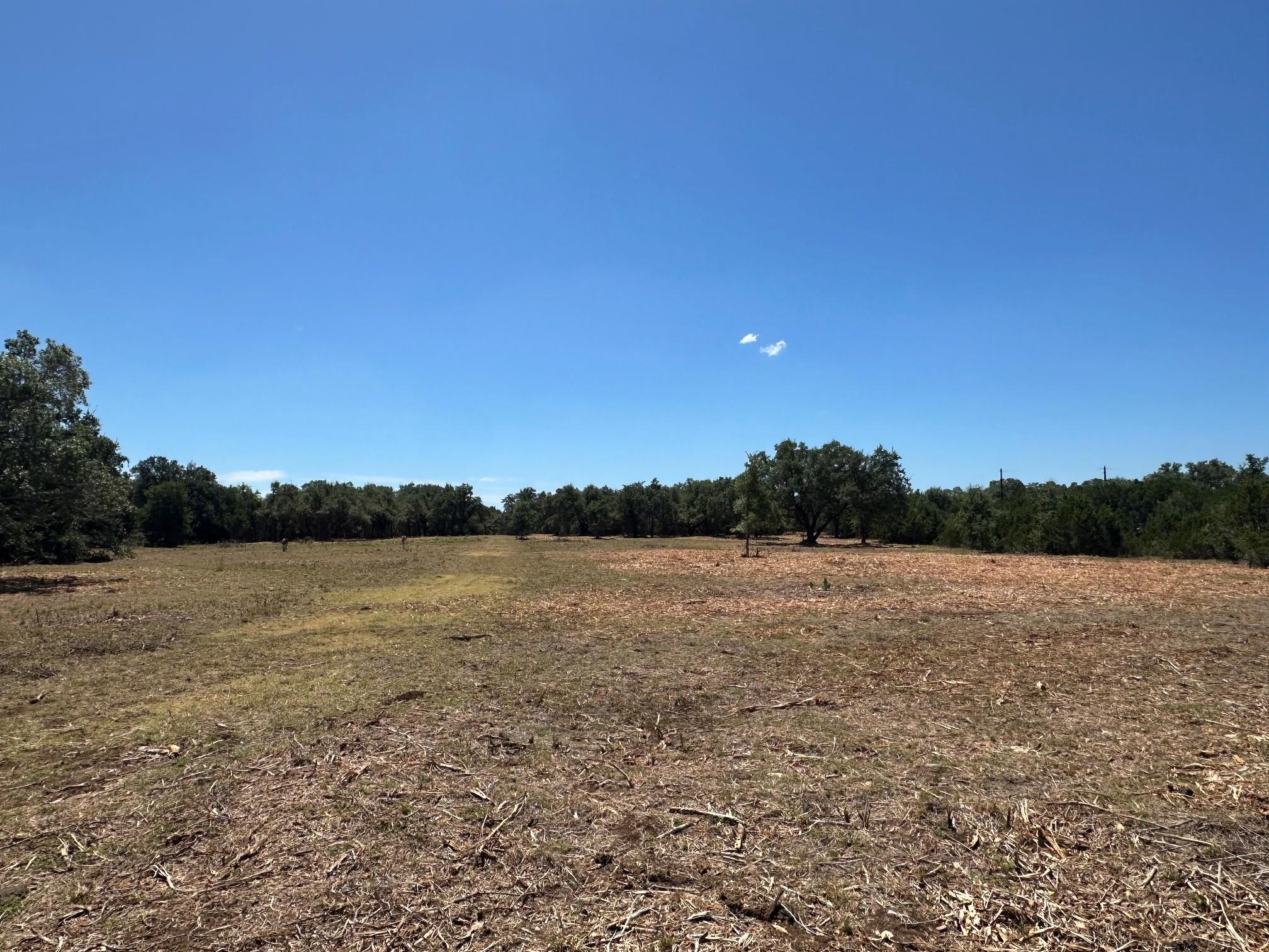 1900 County Road 284 — photo 5