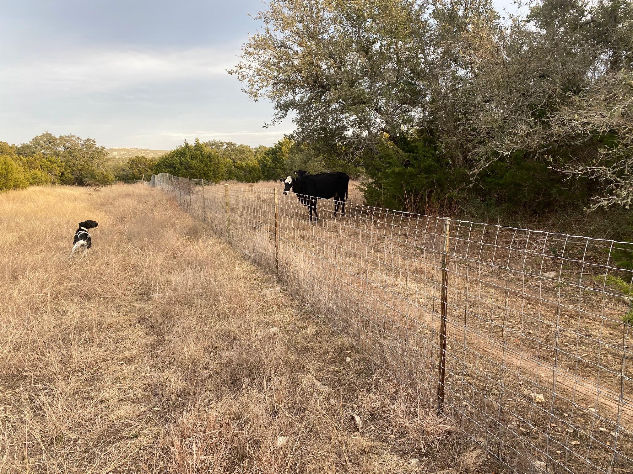 Lot 94 E. Dripping View CT — photo 3