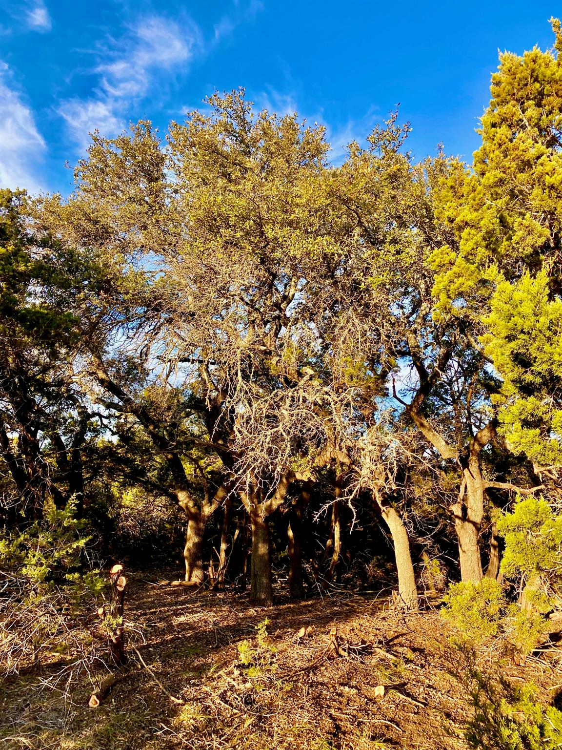 Lot 94 E. Dripping View CT — photo 5