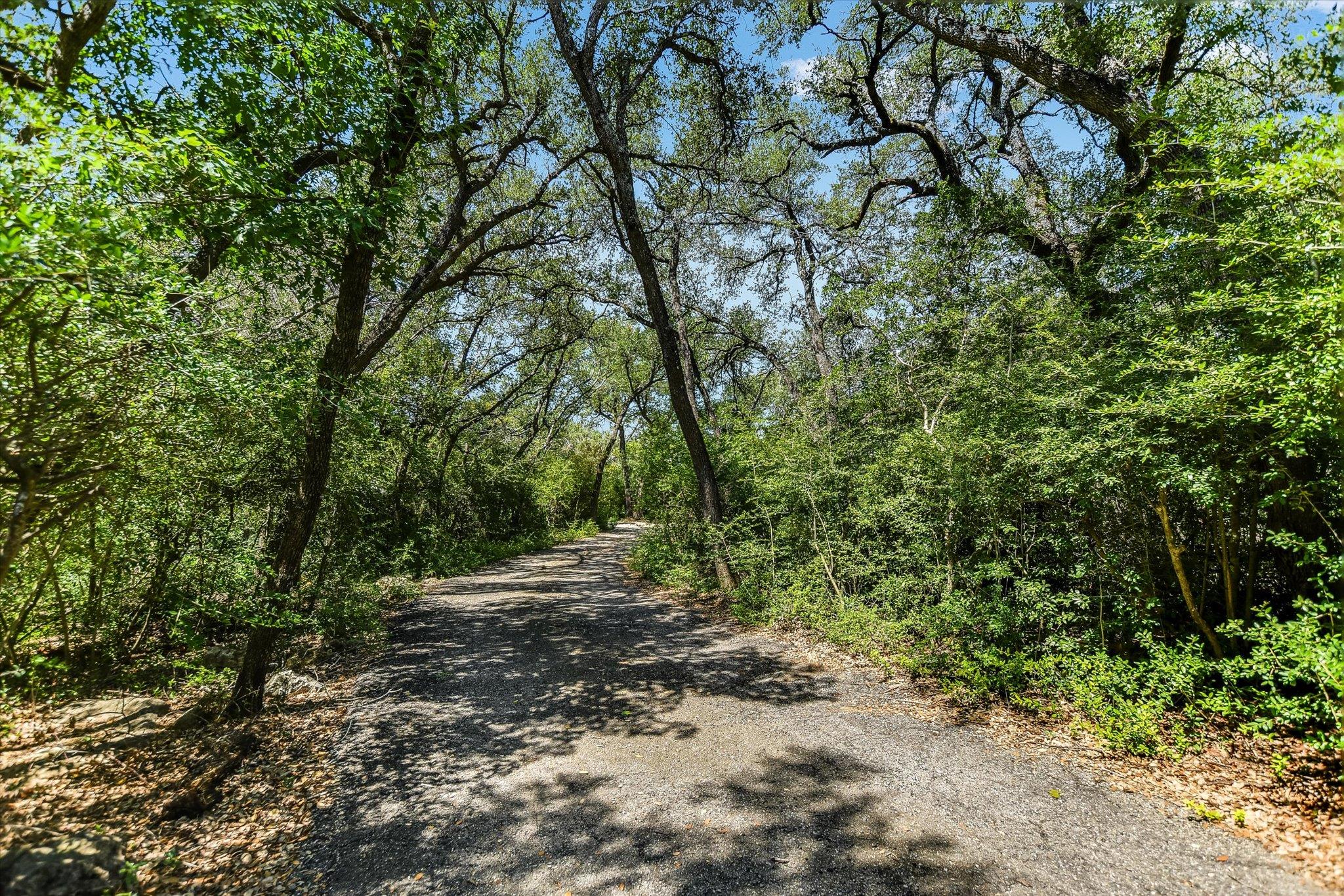 10412 Double Spur LOOP — photo 4