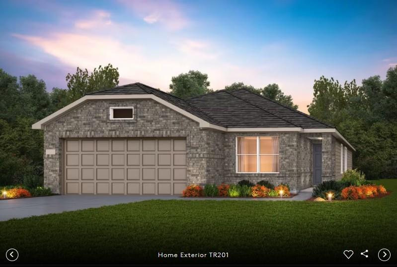 141 Cogitare LN