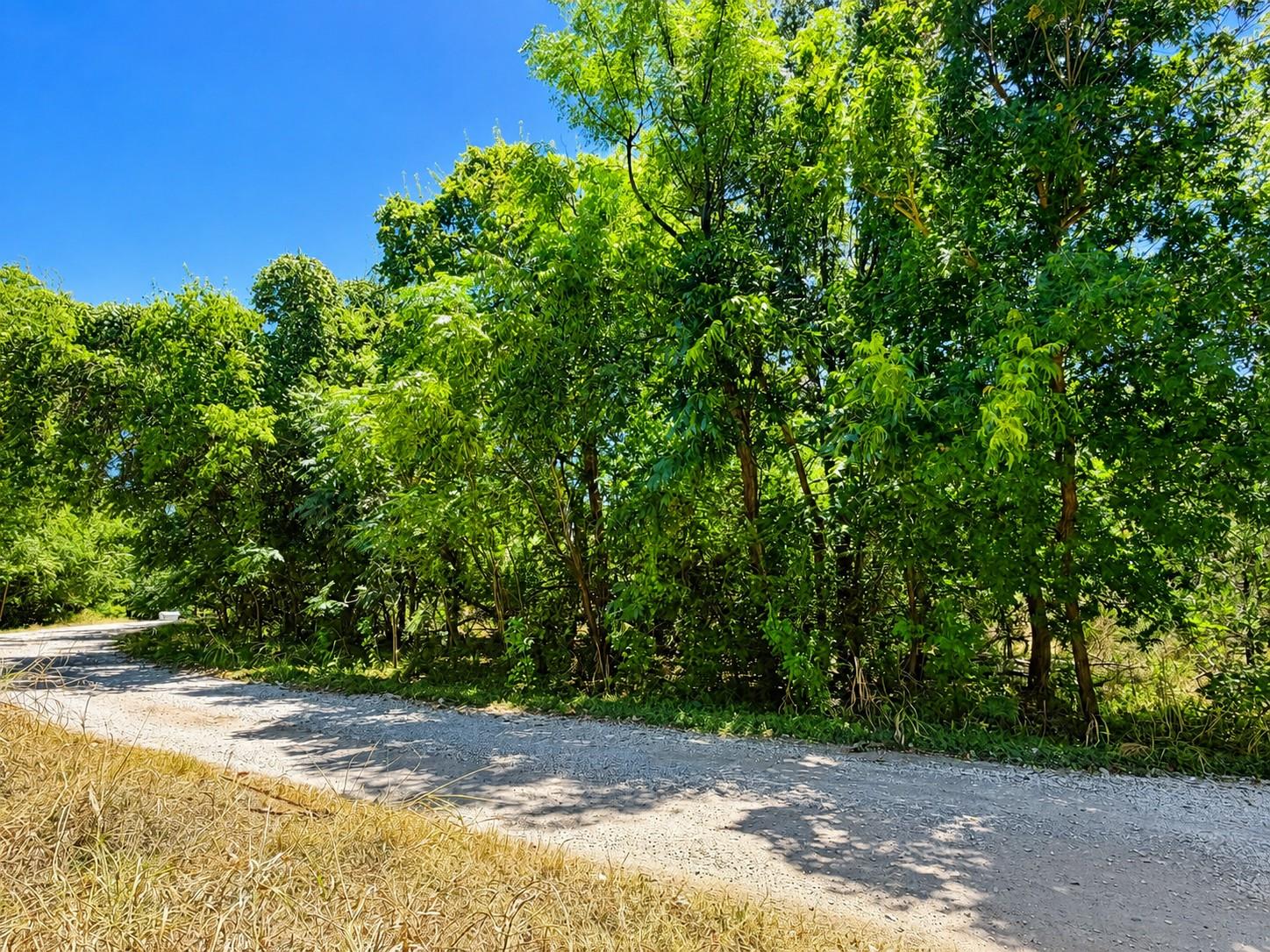 TBD Buckner LN — photo 3