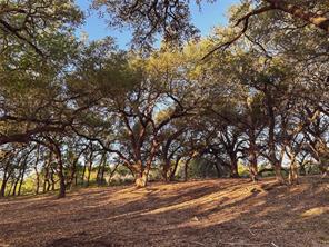 Lot 7 Rifle Ridge — photo 4