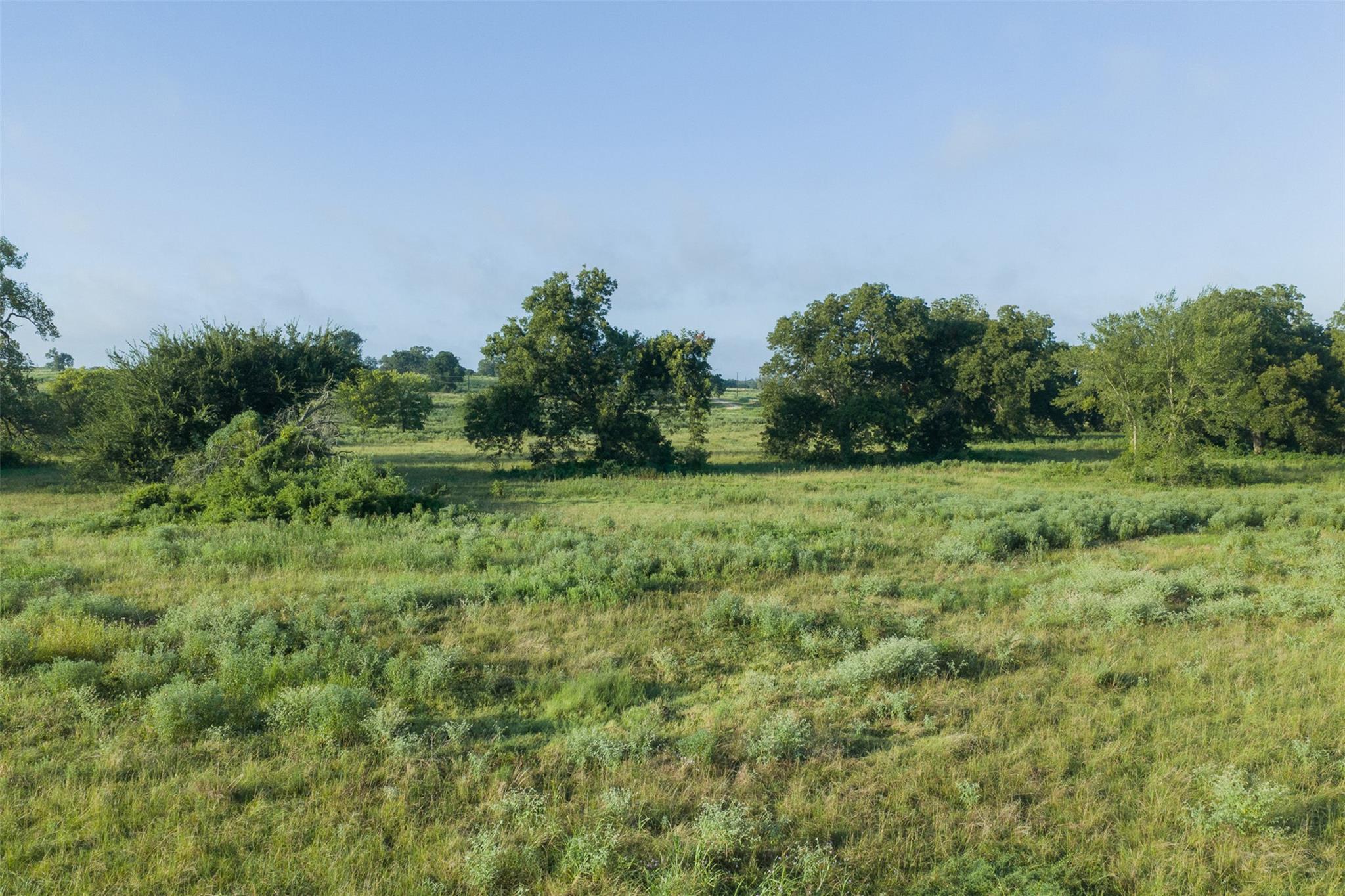 TBD LCR 721 — photo 3