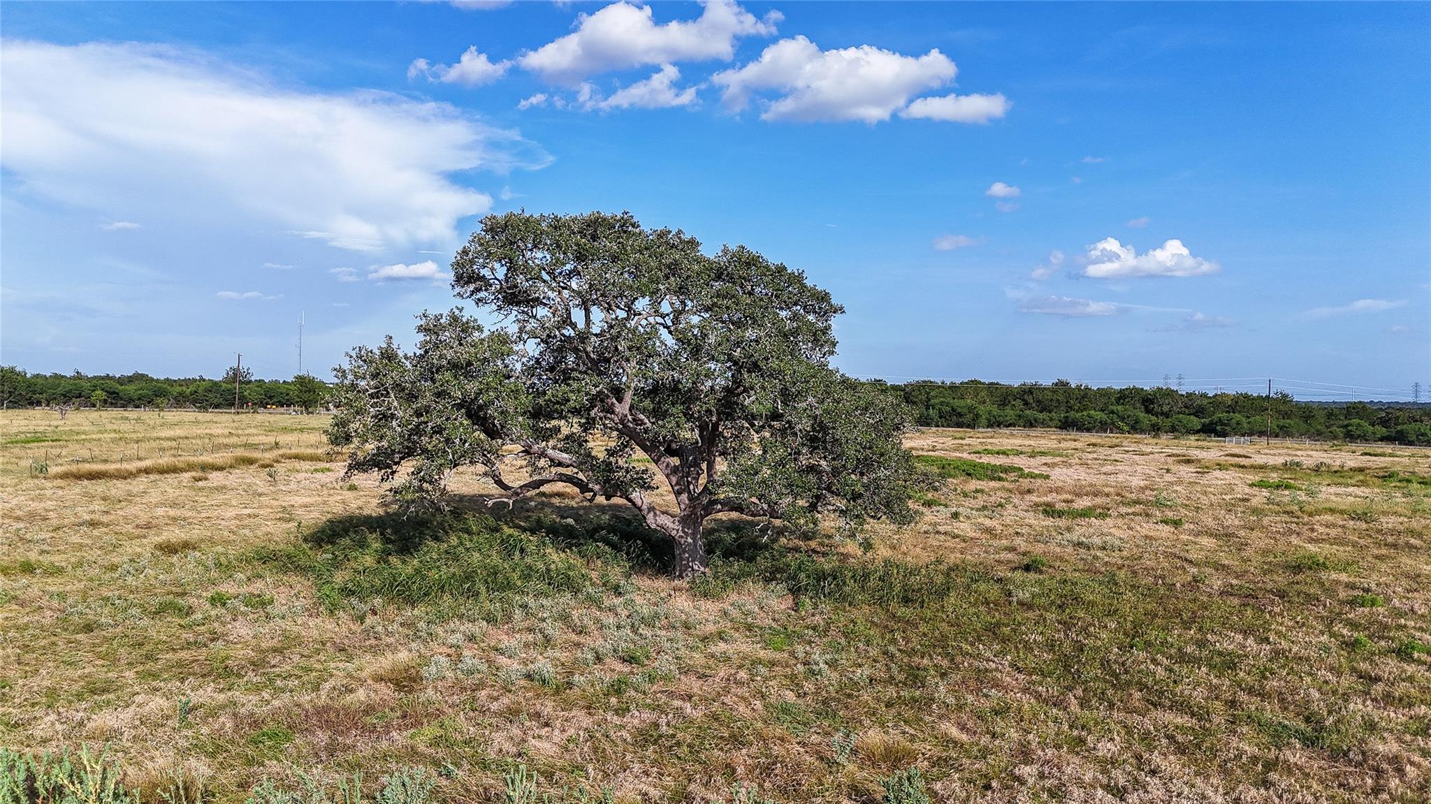 2171 Highway 237 — photo 5