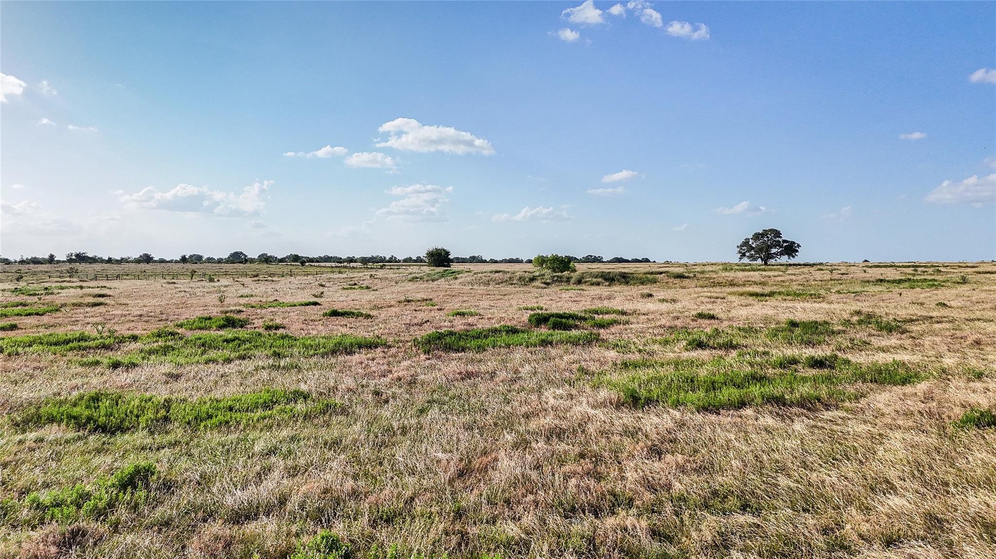 2179 Highway 237 — photo 4