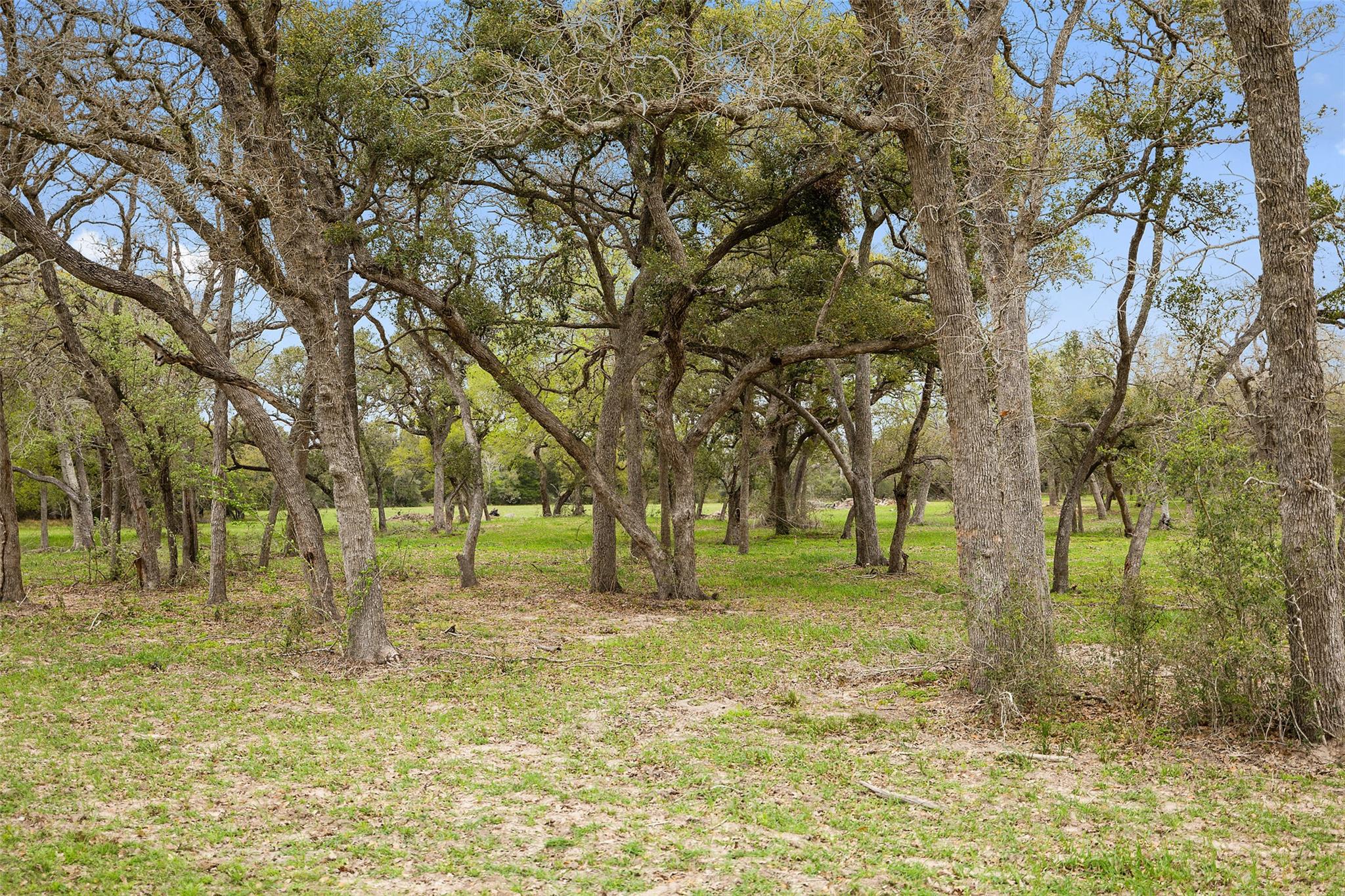 Lot 1 County Road 123 — photo 3