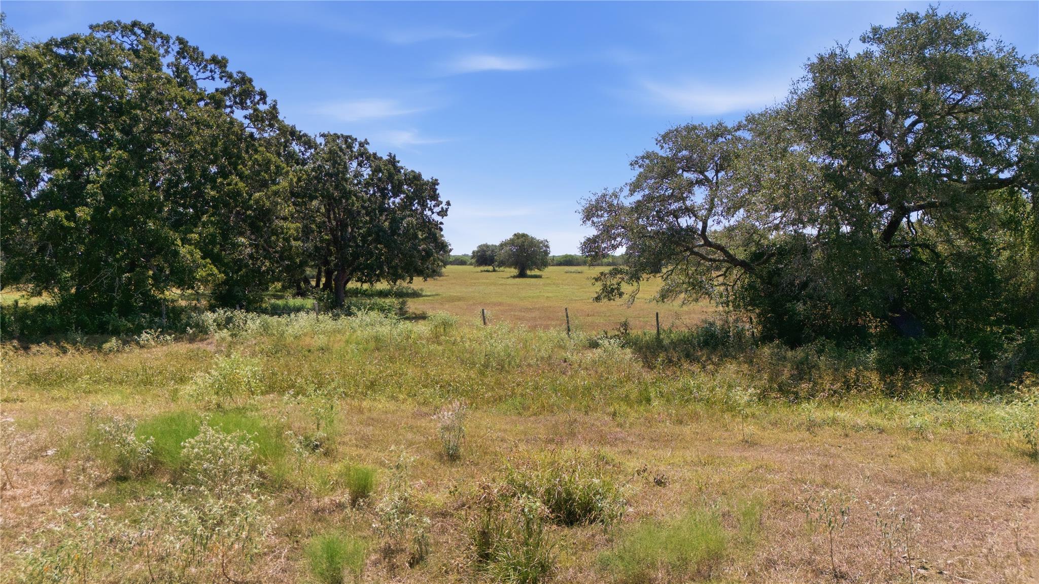 Lot 1 County Road 123 — photo 4