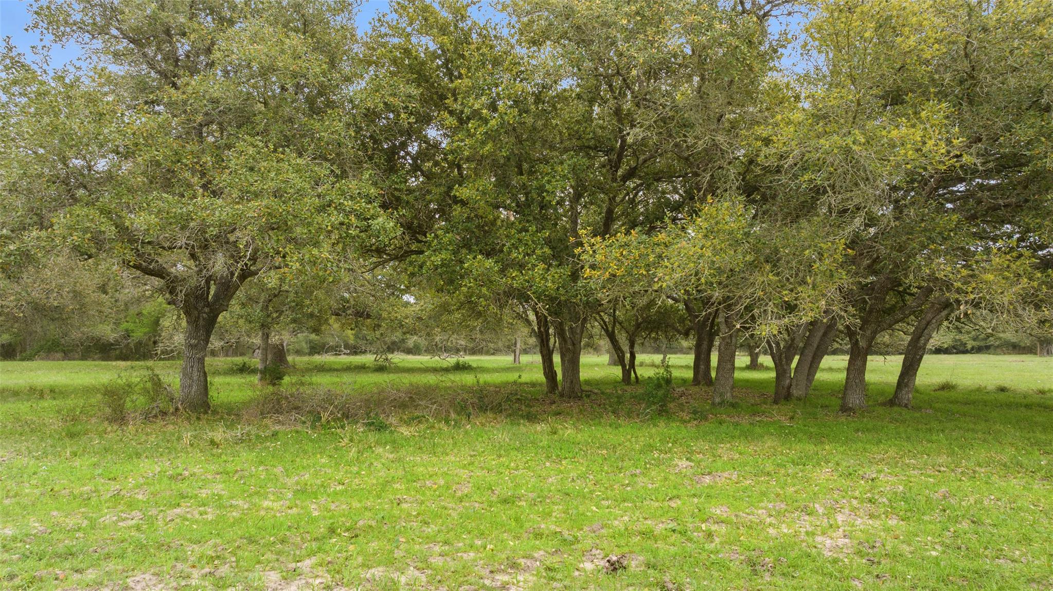 Lot 2 County Road 123 — photo 3