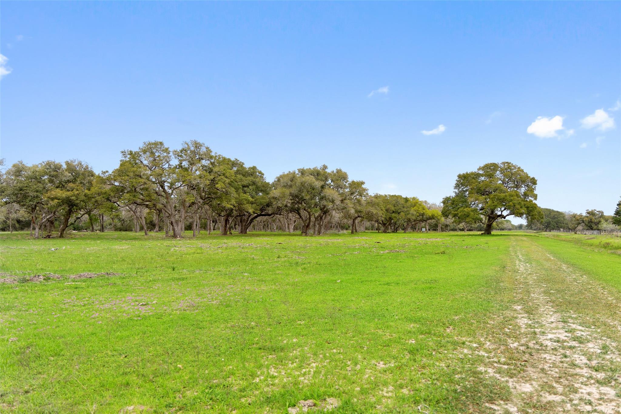Lot 2 County Road 123 — photo 4