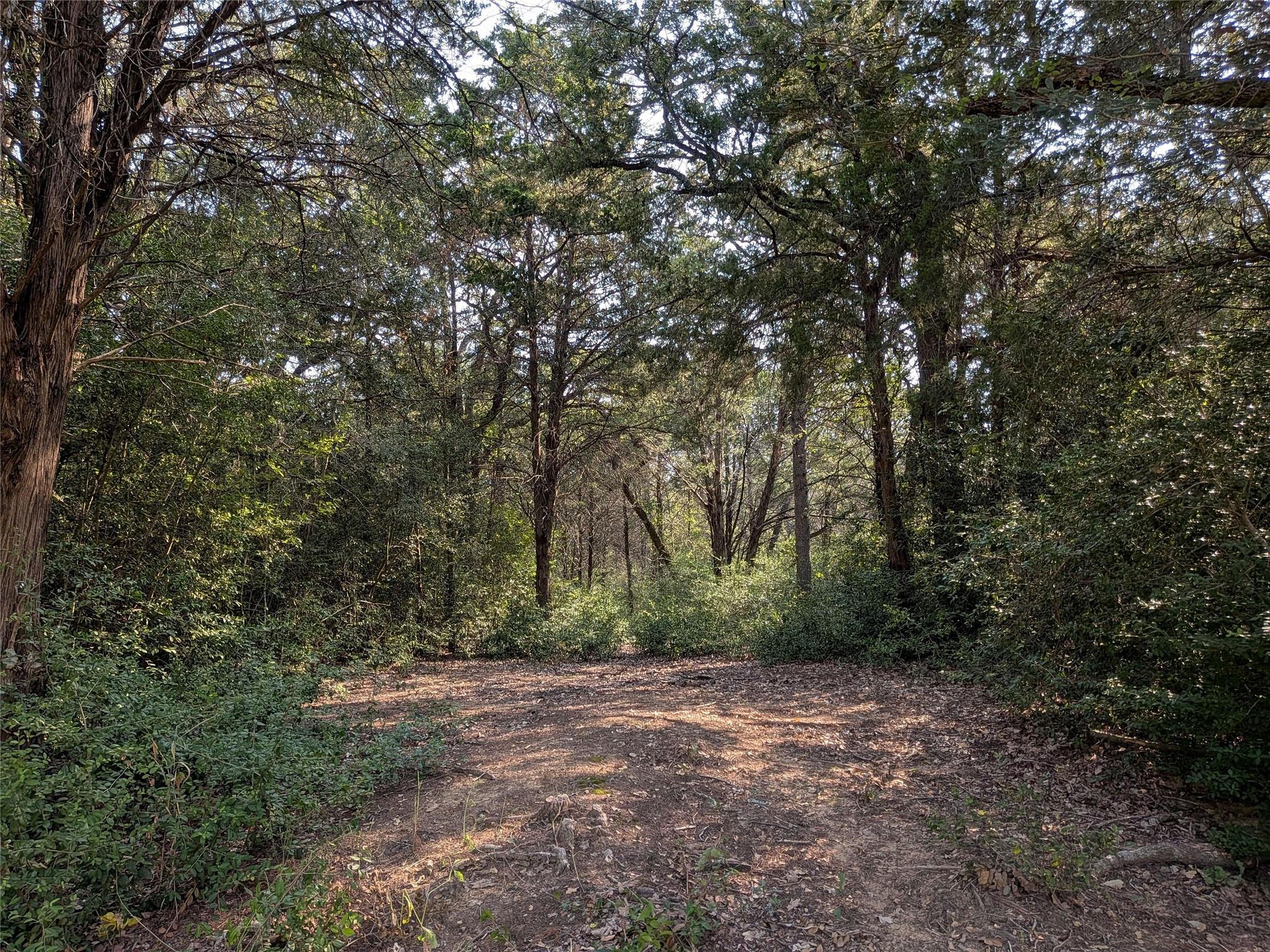 TBD Private Road 7039 — photo 5