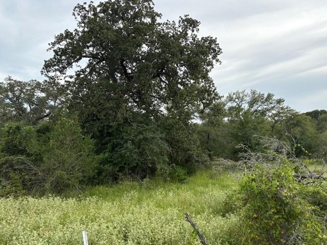 Lot #1 Willis Ln LN — photo 4