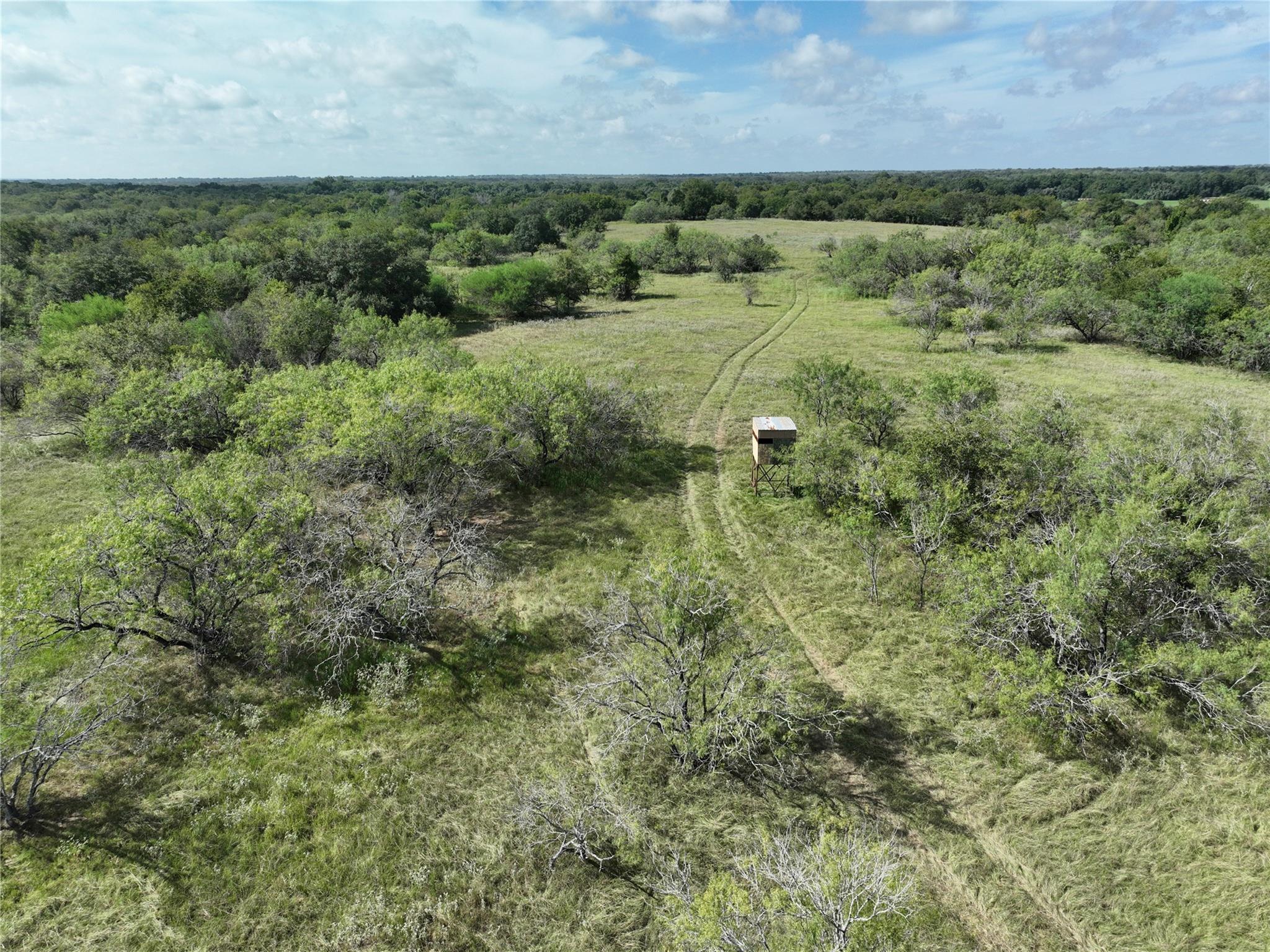 TBD Lot 2 CR 424 RD — photo 4