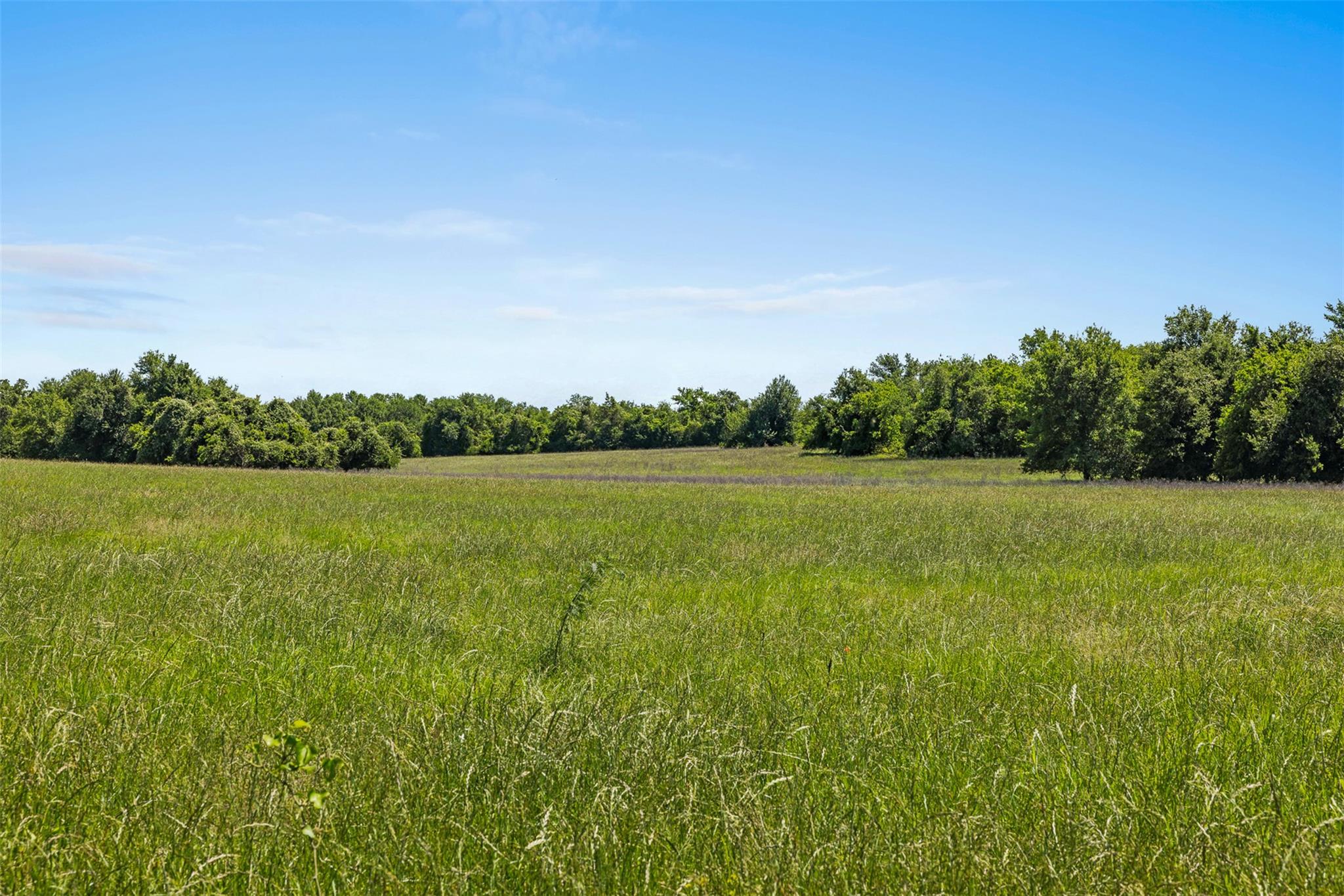TBD CR 270 — photo 4