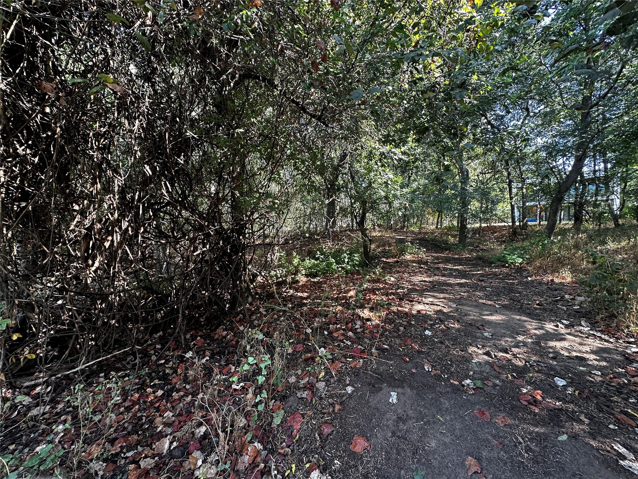 392 Riverside DR — photo 4