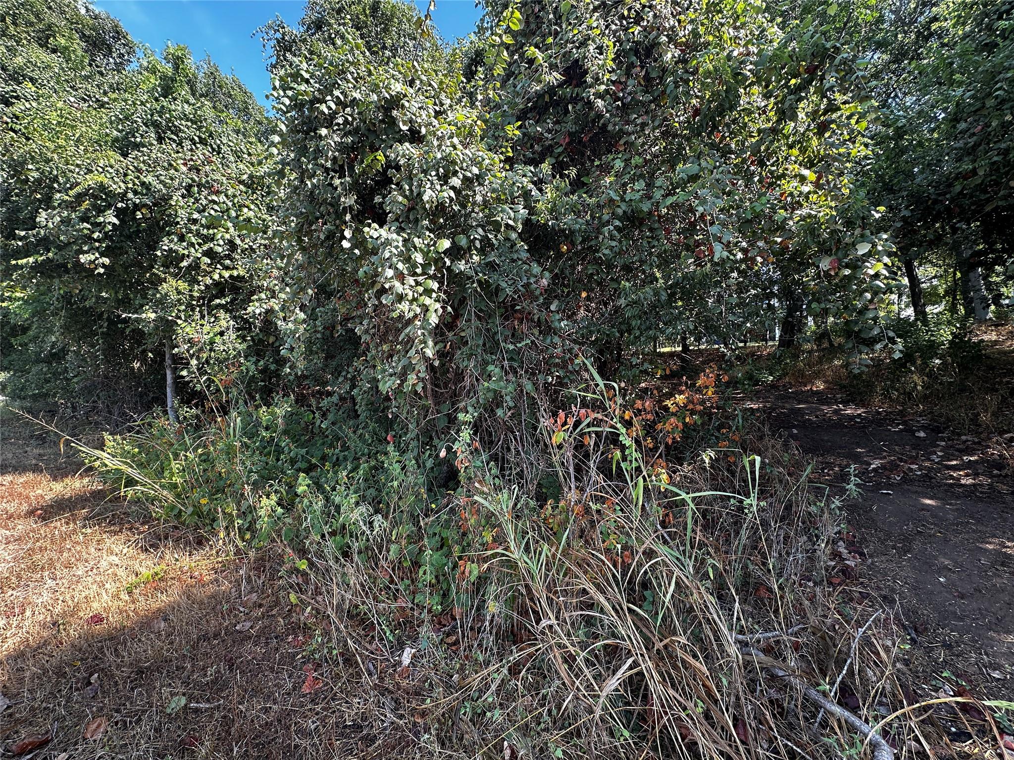 392 Riverside DR — photo 5