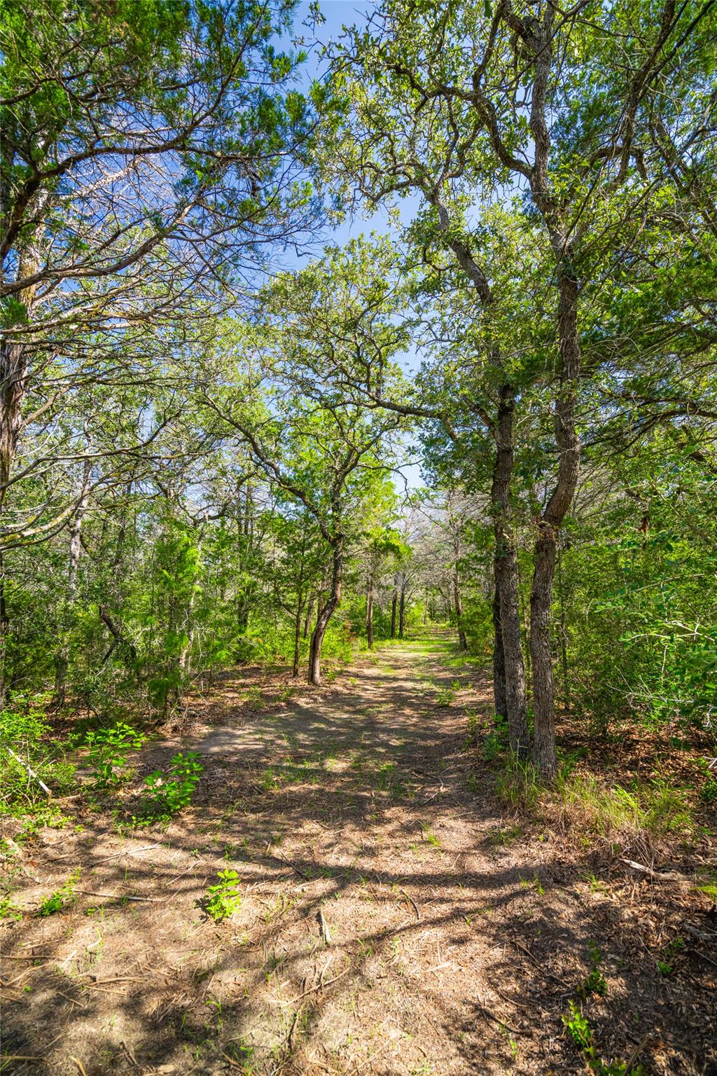 1247 Sand Hills Road — photo 3