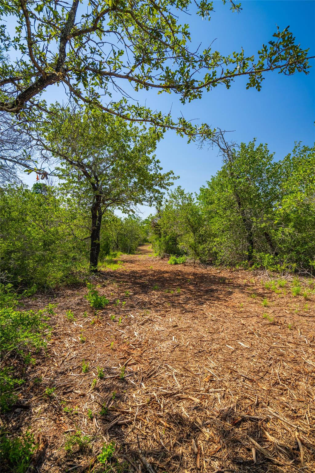 1247 Sand Hills Road — photo 4