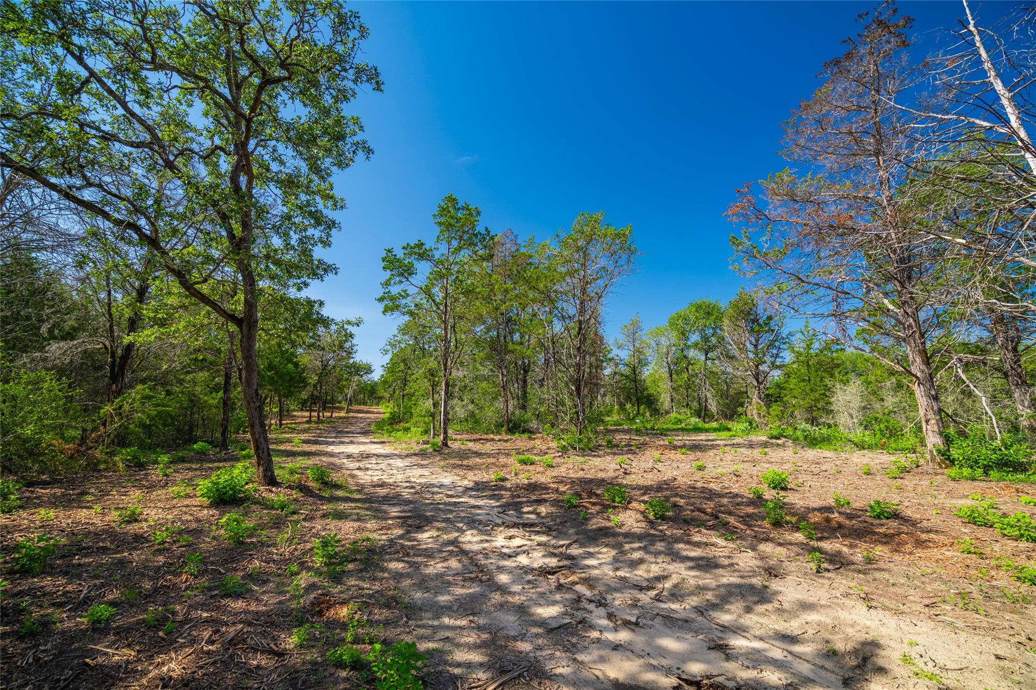 1247 Sand Hills Road — photo 5