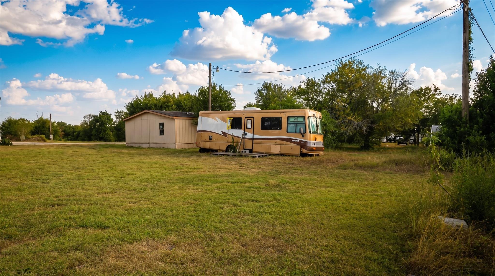 113 Red Head CV — photo 4