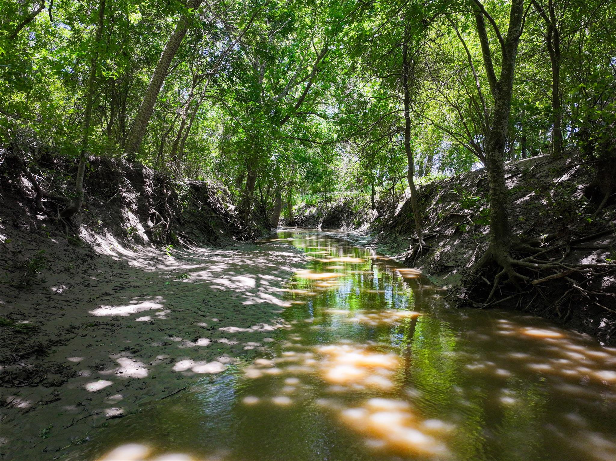 TBD FM 86 Tract 2 Highway — photo 4