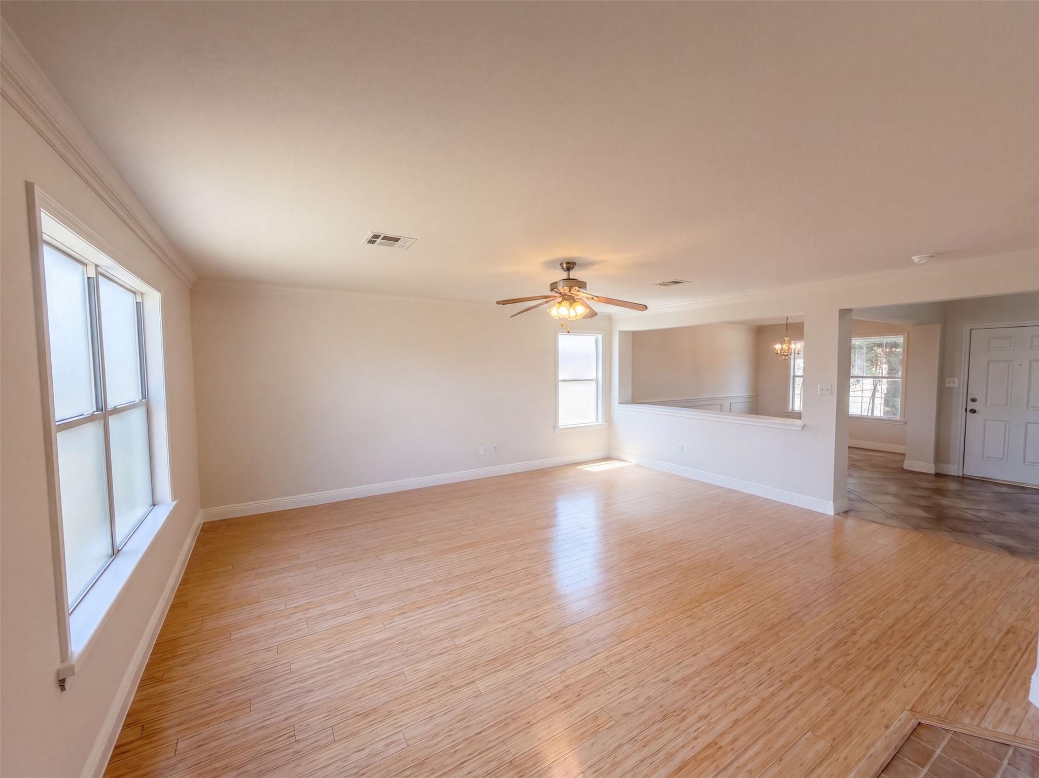 101 Gillespie LN — photo 3