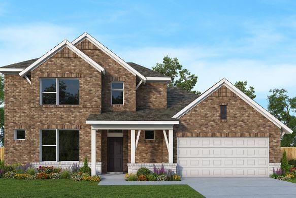 335 Flowering Senna DR