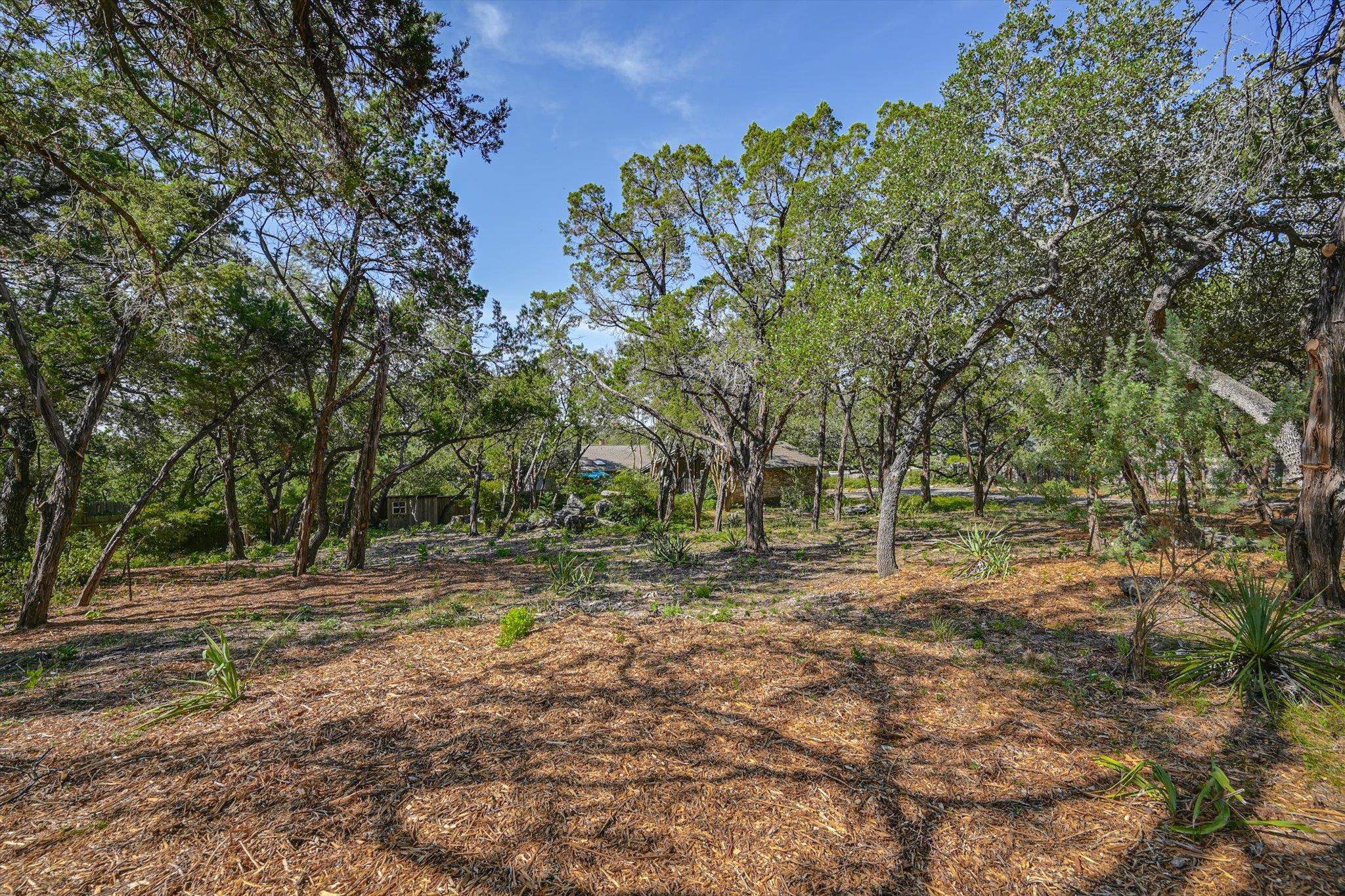 1403 Redbud TRL — photo 3