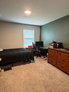 472 Dove TRL — photo 5