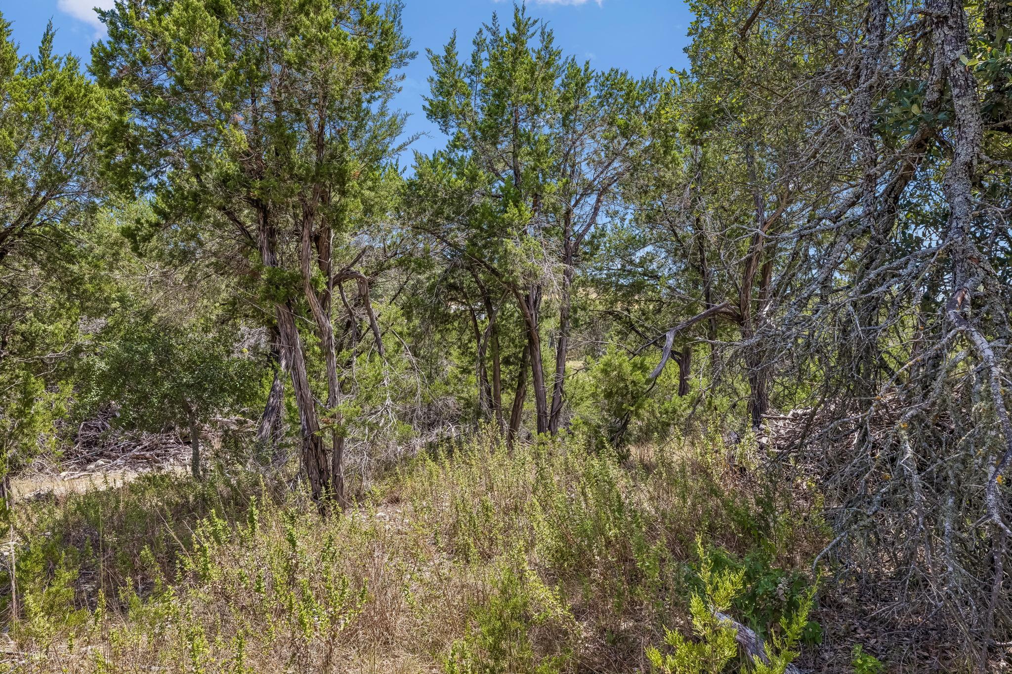 Lot 1B Evergreen WAY — photo 3