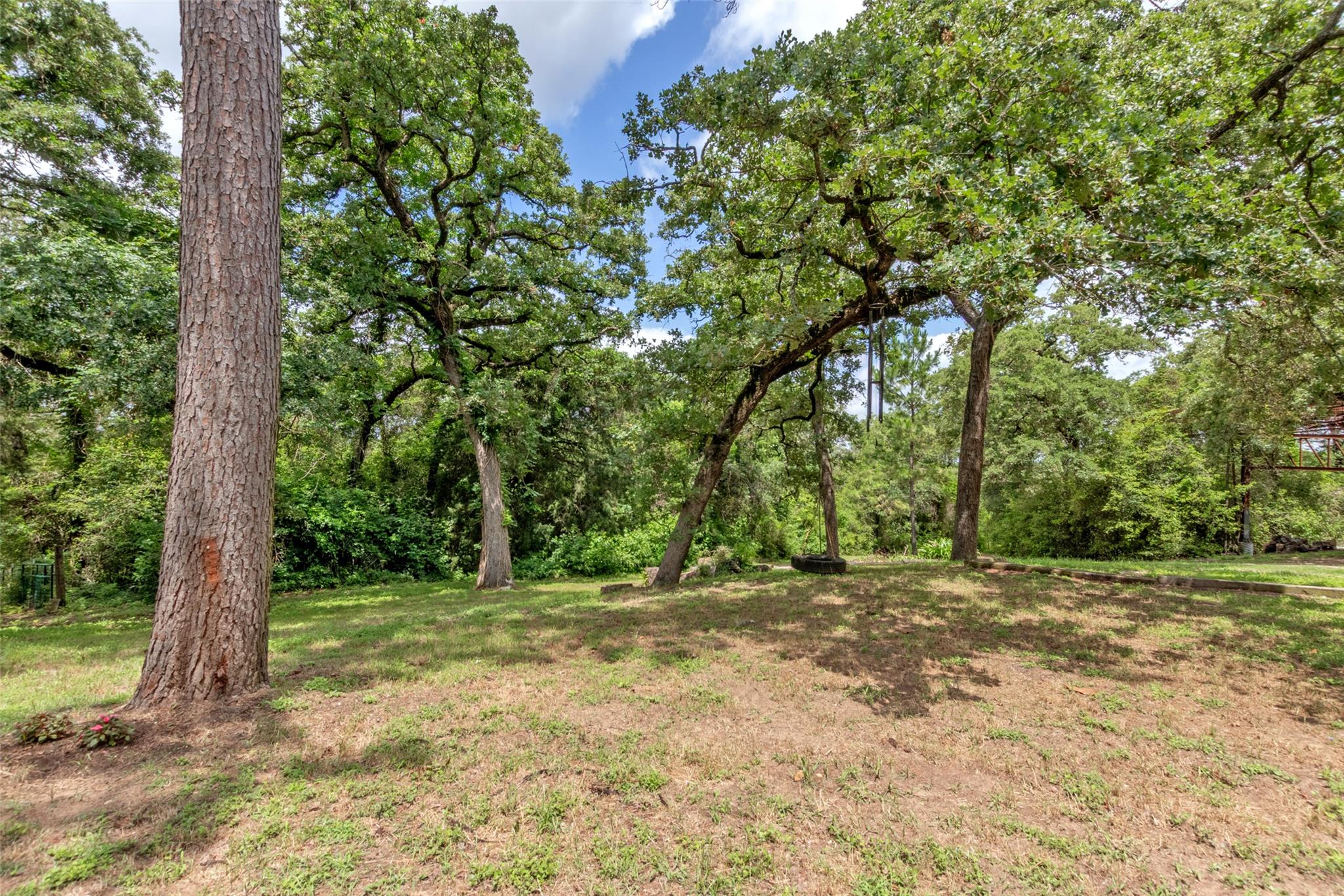 9997 Calhoun RD — photo 5