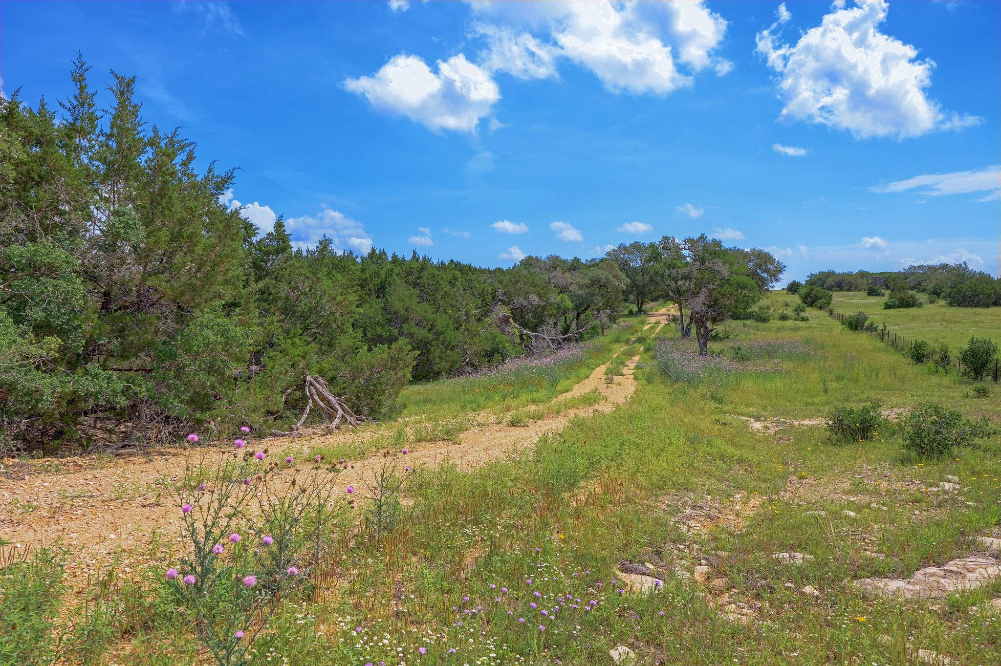 19131 Wolfridge 273 Ranch RD — photo 3