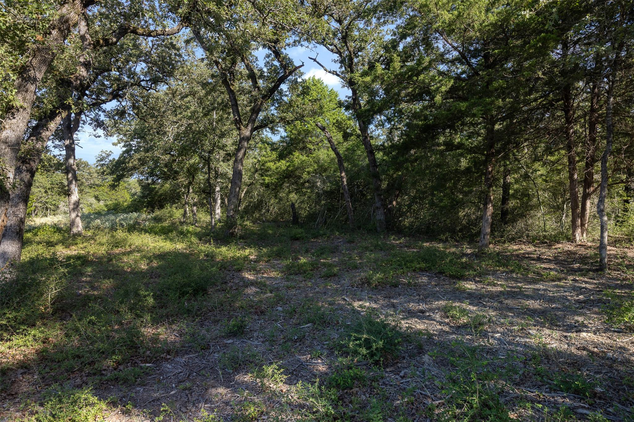 180 Autumn Oak Ct CT — photo 4