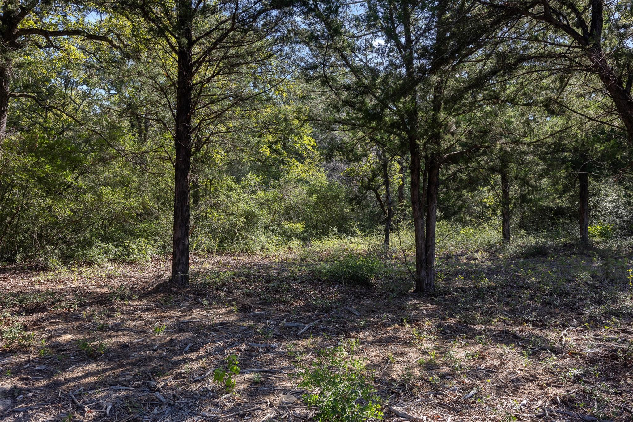 180 Autumn Oak Ct CT — photo 5