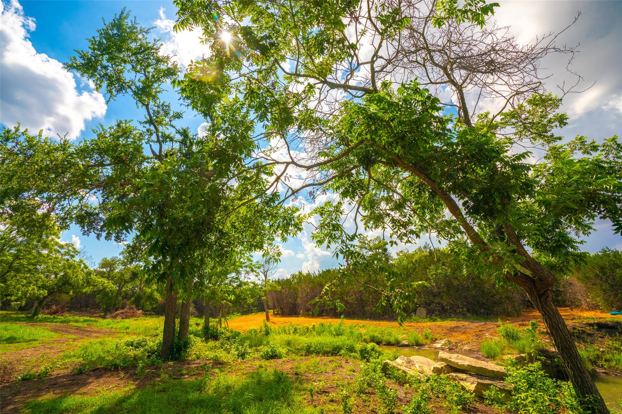 0 Spring Haven Ranch — photo 4
