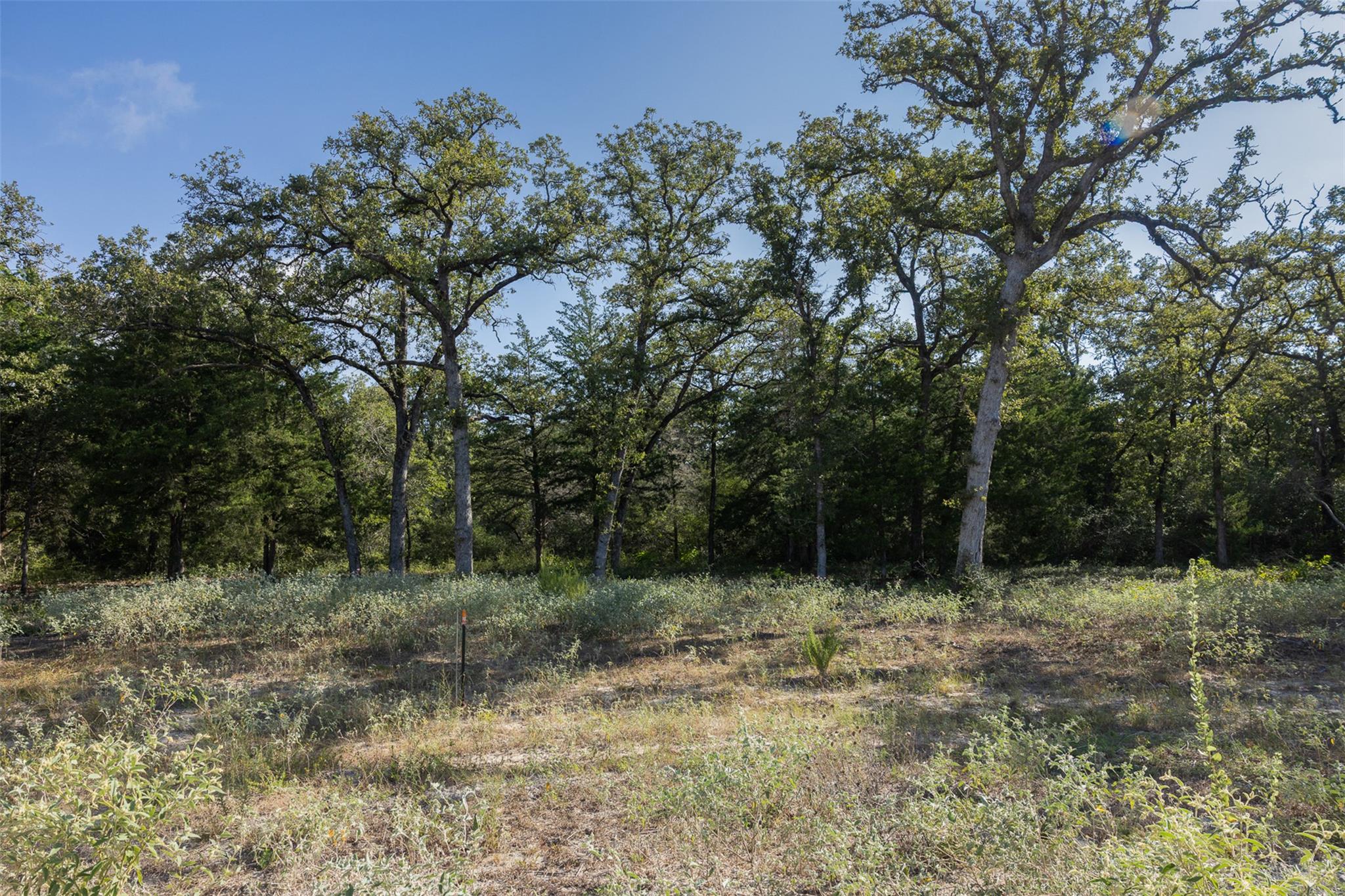 180 Autumn Oak CT