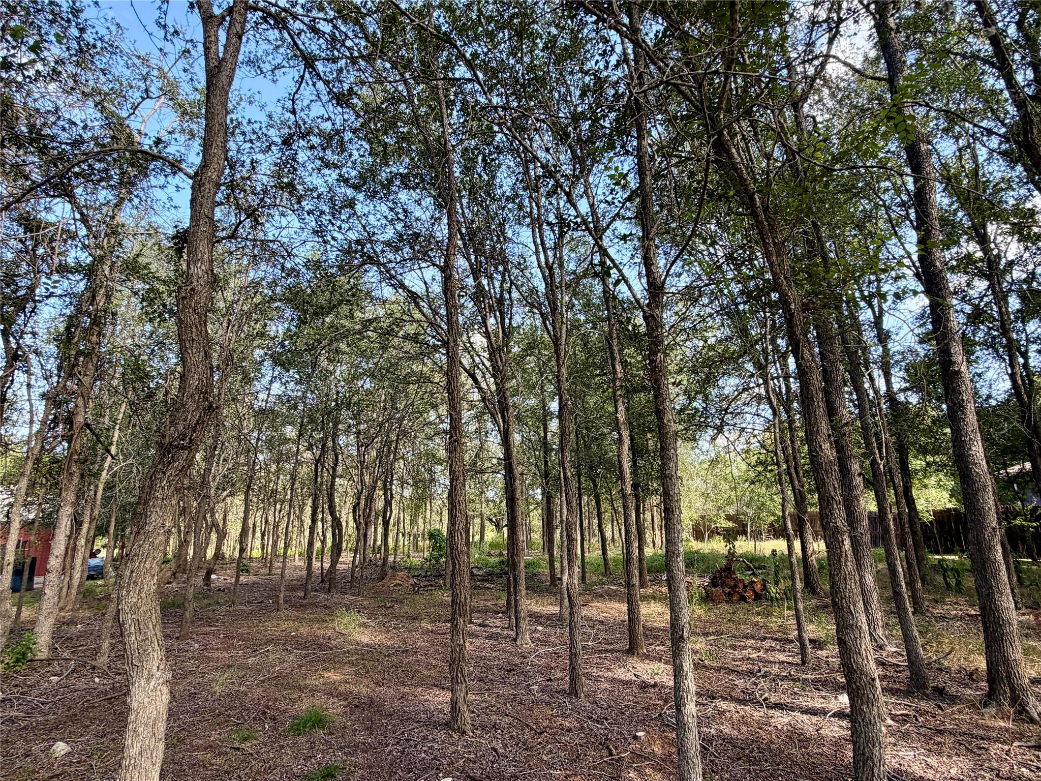 208 Waipahoehoe DR — photo 4
