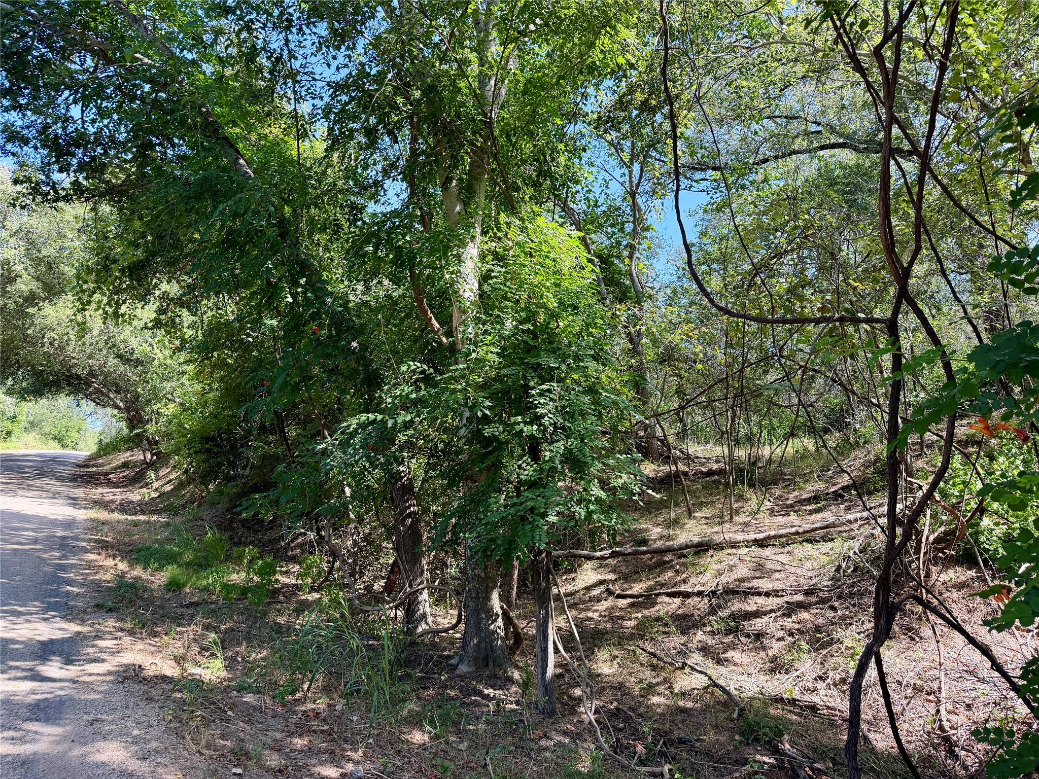 342 Riverside DR — photo 3