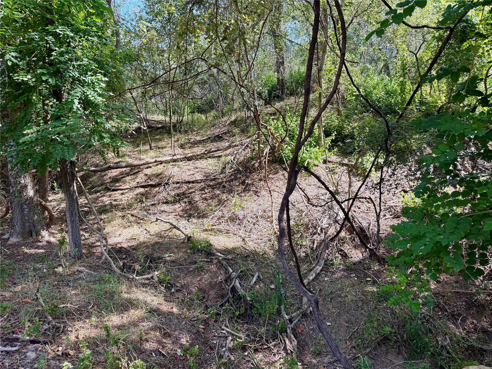 342 Riverside DR — photo 4