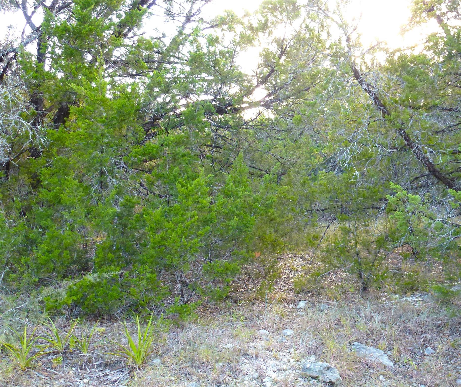 6302 Deer Run — photo 4
