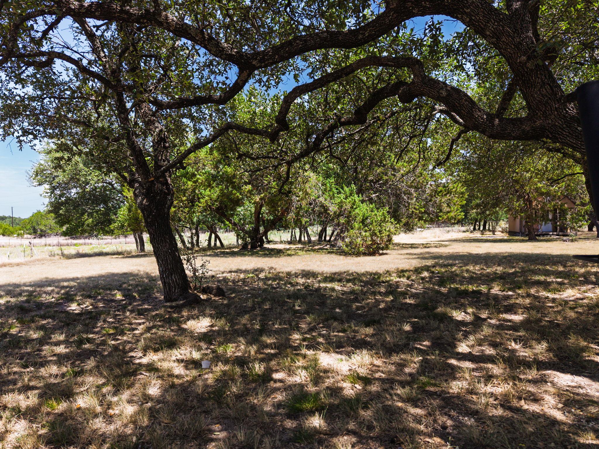 3322 County Road 1020 — photo 4
