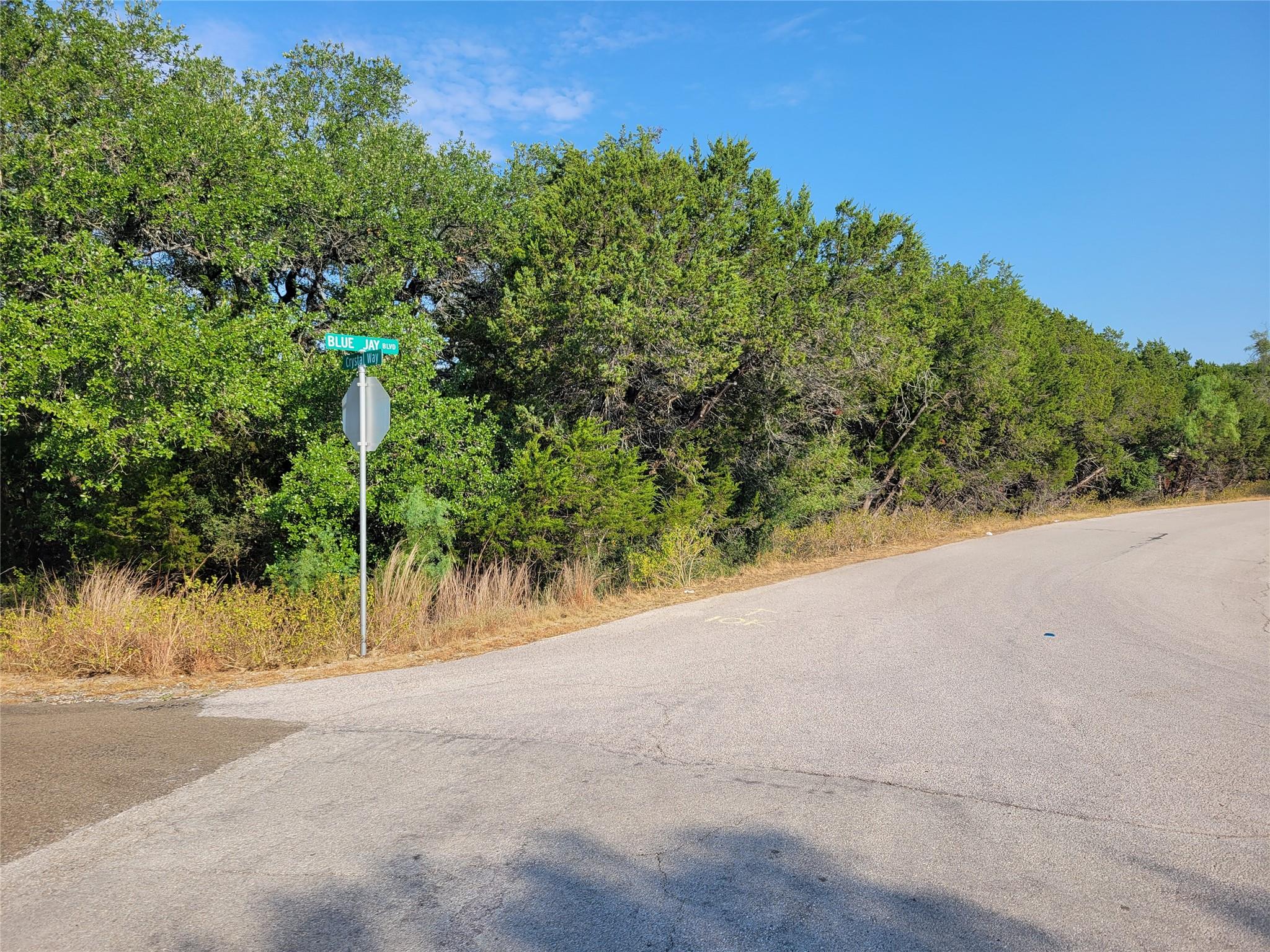 21801 Bluejay BLVD — photo 3