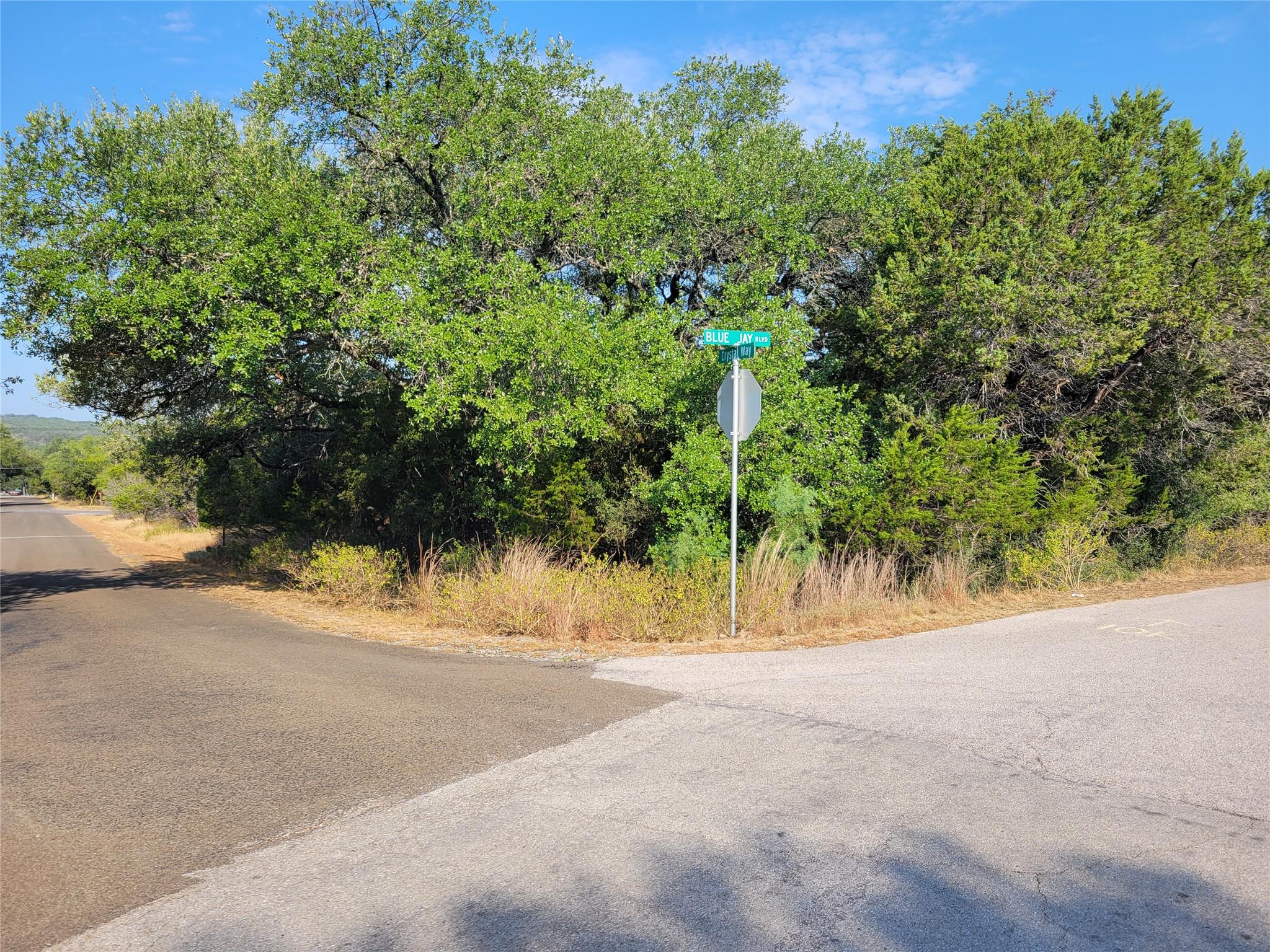 21801 Bluejay BLVD — photo 4