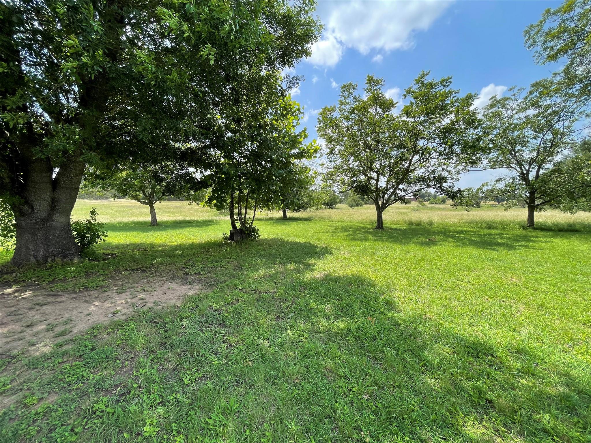 1435 County Road 108 — photo 5